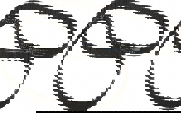 Timing Belt: Section L